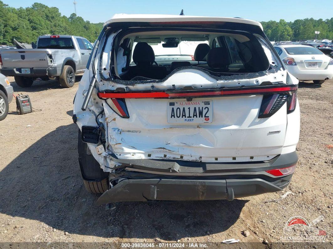 5NMJFCAE9PH271177 2023 HYUNDAI TUCSON photo no. 6