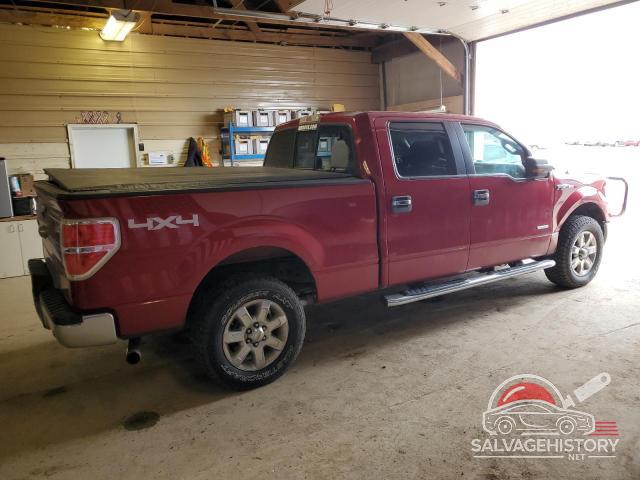 1FTFW1ET1DKD07589 2013 FORD F-150 photo no. 3
