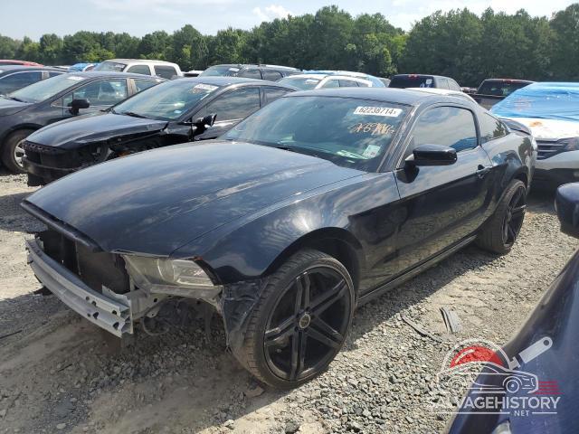 1ZVBP8AM1E5289465 2014 FORD ALL Models photo no. 15