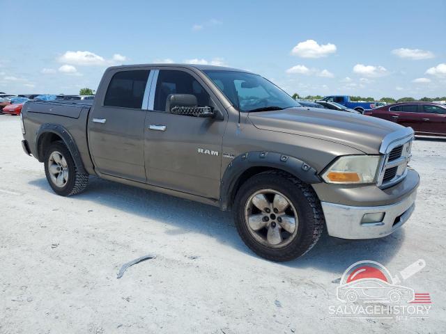 1D3HB13TX9J516924 2009 DODGE All Models photo no. 4