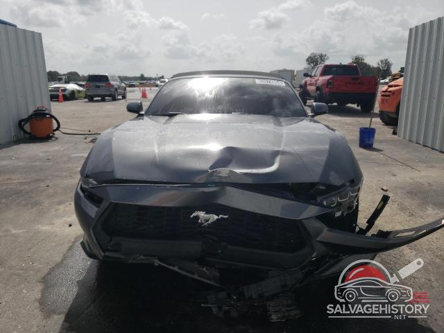 1FAGP8UHXR5133668 2024 FORD ALL Models photo no. 5