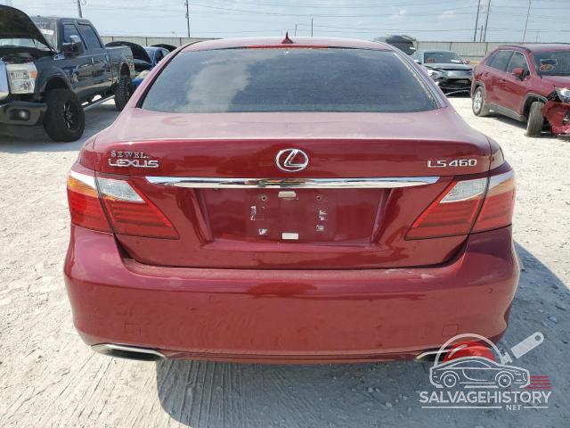JTHBL5EF9A5096918 2010 LEXUS LS460 photo no. 6