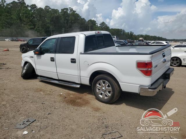 1FTFW1CF7DKG40392 2013 FORD F-150 photo no. 2
