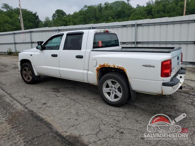 1D7RW3GP7BS701917 2011 DODGE DAKOTA photo no. 2