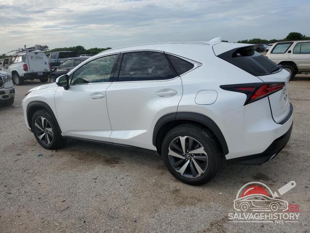 JTJYARBZ1K2135976 2019 LEXUS NX photo no. 2