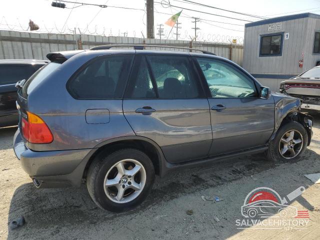 5UXFA53573LV73913 2003 BMW X5 photo no. 3