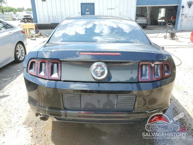1ZVBP8AM5D5206277 2013 FORD ALL Models photo no. 6