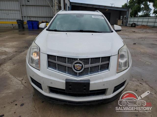 3GYFNAEY4AS655587 2010 CADILLAC SRX photo no. 5