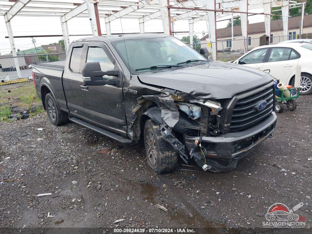 1FTFX1EF9FKE23858 2015 FORD F-150 photo no. 10