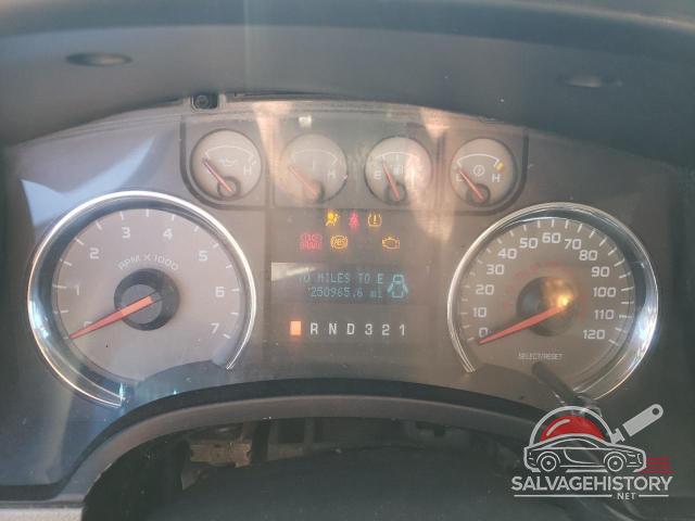 1FTEW1C84AFC31297 2010 FORD F-150 photo no. 9