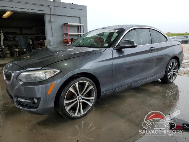 WBA2F9C31HV983929 2017 BMW 2 SERIES photo no. 1