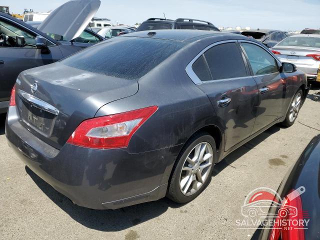 1N4AA51E19C812773 2009 NISSAN MAXIMA photo no. 3