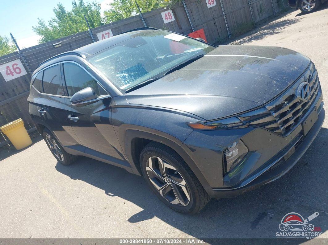 5NMJECDE2RH300312 2024 HYUNDAI TUCSON photo no. 14