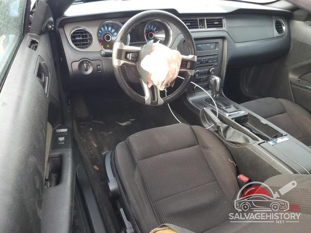 1ZVBP8EM4D5219449 2013 FORD ALL Models photo no. 8