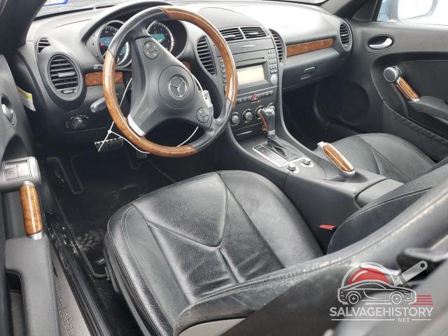 WDBWK54F69F191903 2009 MERCEDES-BENZ SLK-CLASS photo no. 8