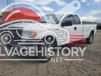 1FTFX1EF1EKG07318 2014 FORD F150 SUPER photo no. 1
