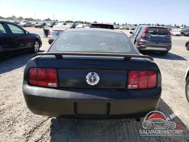1ZVFT80N855124701 2005 FORD ALL Models photo no. 6