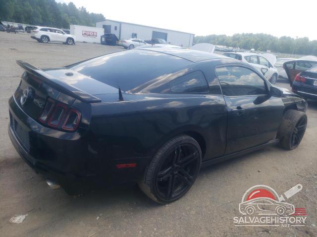 1ZVBP8AM1E5289465 2014 FORD ALL Models photo no. 3