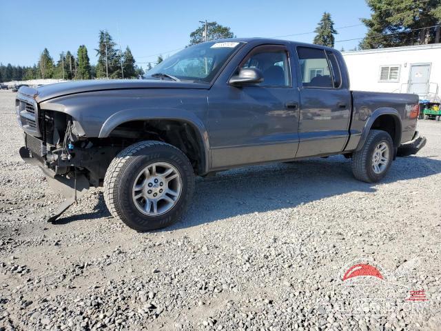 1D7HG38N63S249286 2003 DODGE DAKOTA photo no. 20