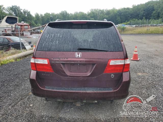 5FNRL38697B436155 2007 HONDA All Models photo no. 6