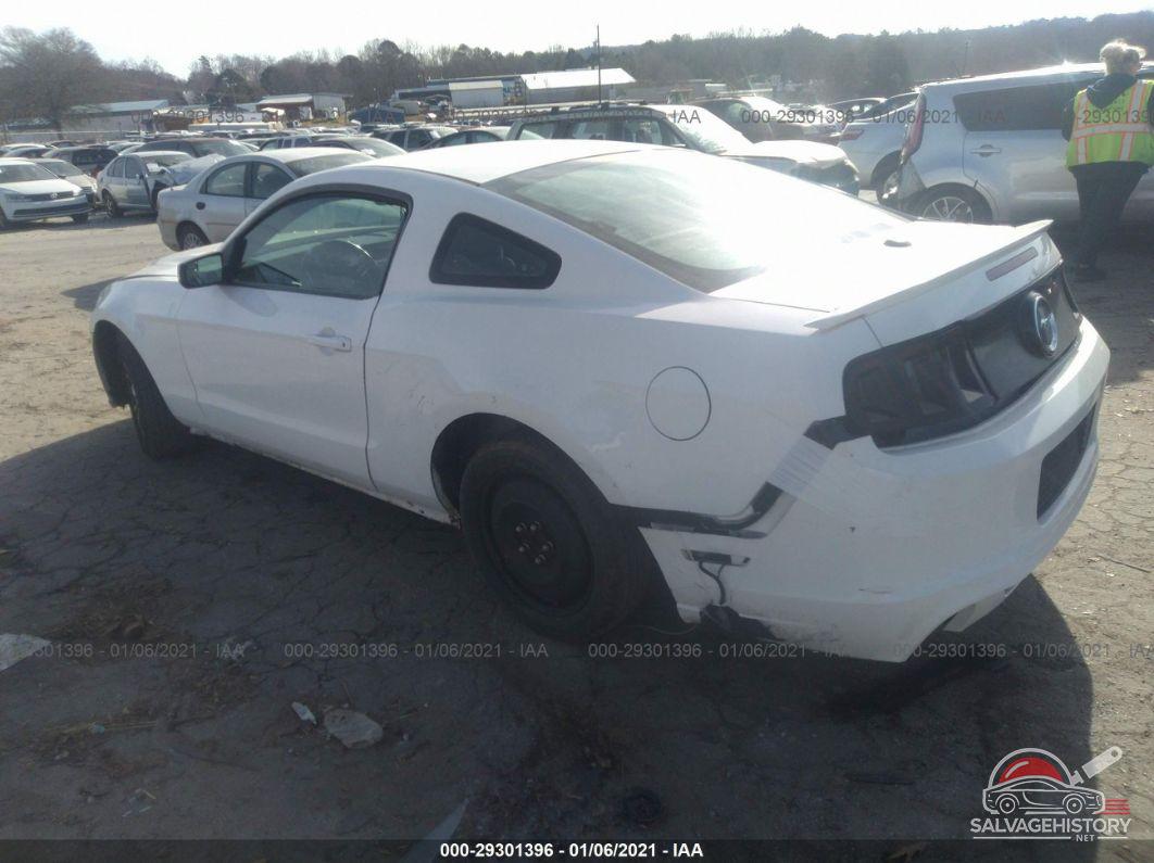 1ZVBP8AM1D5264791 2013 FORD MUSTANG photo no. 3