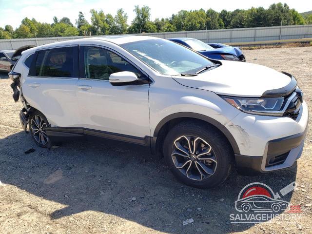 5J6RW2H52LL040465 2020 HONDA CRV photo no. 4