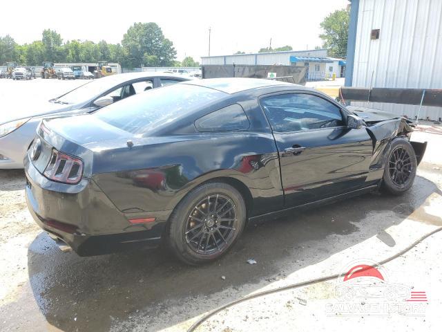 1ZVBP8AM5D5206277 2013 FORD ALL Models photo no. 3