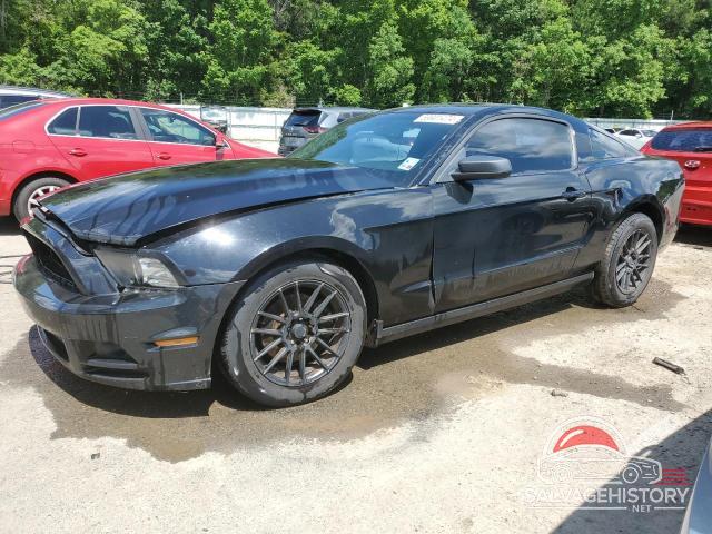 1ZVBP8AM5D5206277 2013 FORD ALL Models photo no. 7