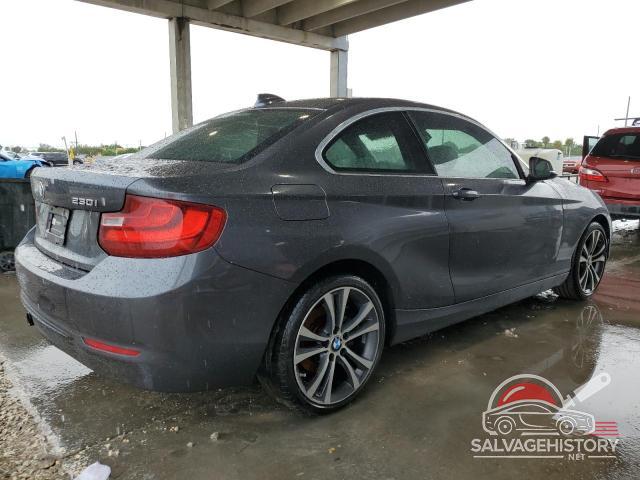 WBA2F9C31HV983929 2017 BMW 2 SERIES photo no. 3