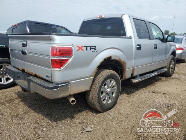 1FTFW1EV2AFC11802 2010 FORD F-150 photo no. 3