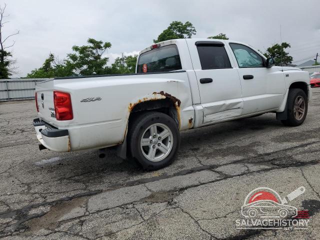 1D7RW3GP7BS701917 2011 DODGE DAKOTA photo no. 3