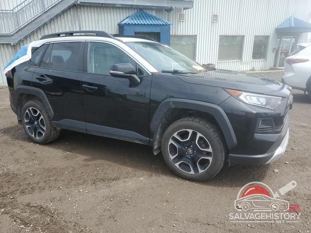 2T3J1RFV2KC033672 2019 TOYOTA RAV4 photo no. 4