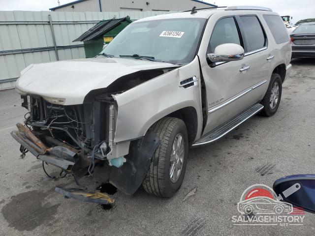 1GYFK13219R100750 2009 CADILLAC ESCALADE photo no. 15