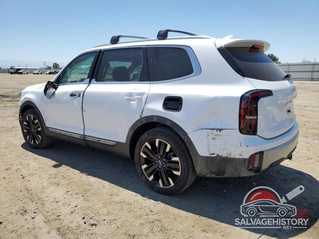 5XYP54GC6RG464747 2024 KIA TELLURIDE photo no. 2