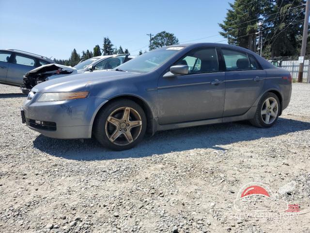 19UUA66216A047486 2006 ACURA TL photo no. 11