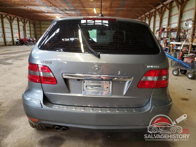 WDDFH3EB5AJ585125 2010 MERCEDES-BENZ B-CLASS photo no. 6
