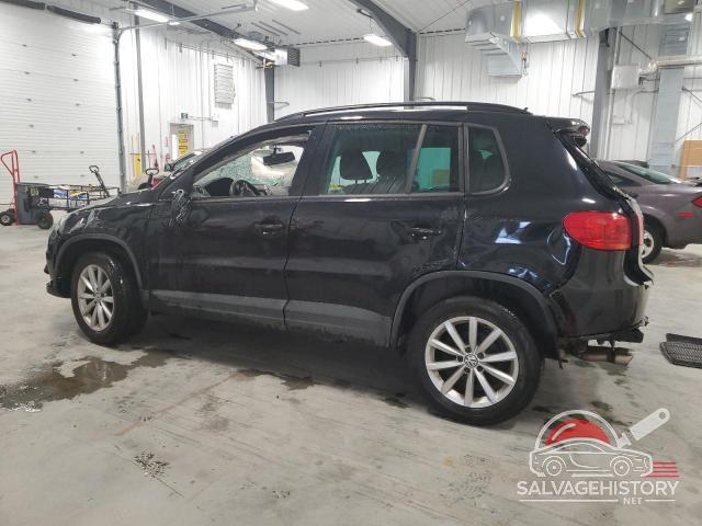 WVGJV7AXXGW610954 2016 VOLKSWAGEN TIGUAN photo no. 2