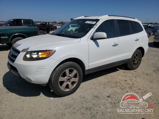 5NMSH13EX7H088631 2007 HYUNDAI SANTA FE photo no. 9