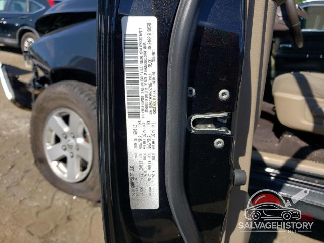 1D3HV18P69S797486 2009 DODGE All Models photo no. 12
