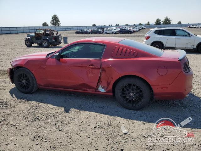 1ZVBP8AM3E5271386 2014 FORD ALL Models photo no. 2