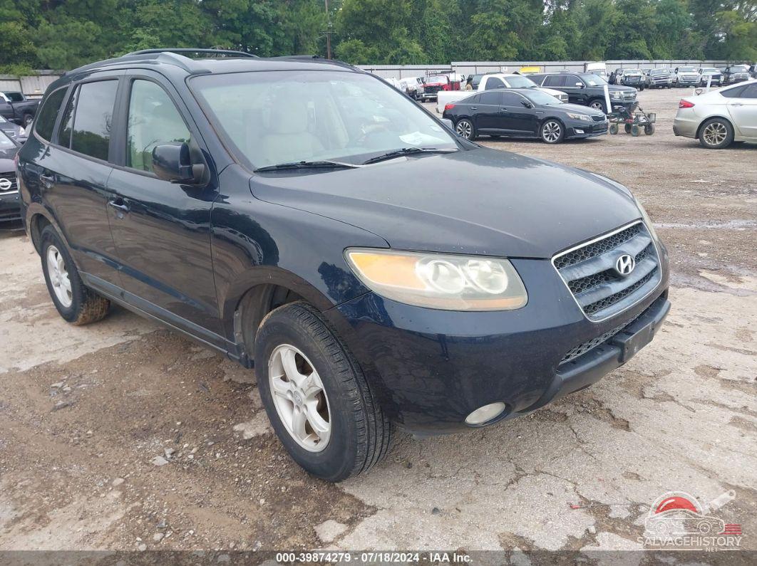 5NMSG13D07H035950 2007 HYUNDAI SANTA FE photo no. 20