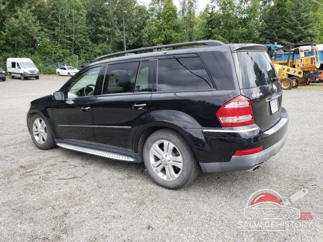 4JGBF71E39A479074 2009 MERCEDES-BENZ GL-CLASS photo no. 2