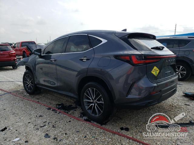 2T2ADCAZ2RC00629X 2024 LEXUS NX 250 BAS photo no. 2