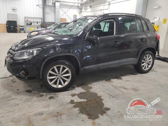 WVGJV7AXXGW610954 2016 VOLKSWAGEN TIGUAN photo no. 3