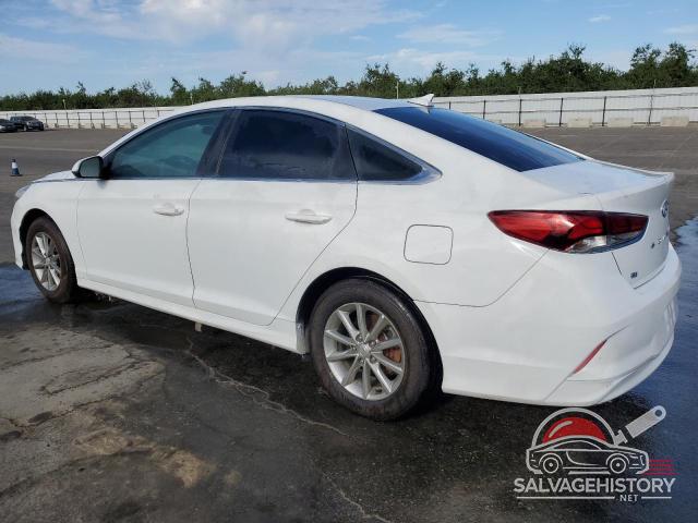 5NPE24AF3KH764070 2019 HYUNDAI SONATA photo no. 2