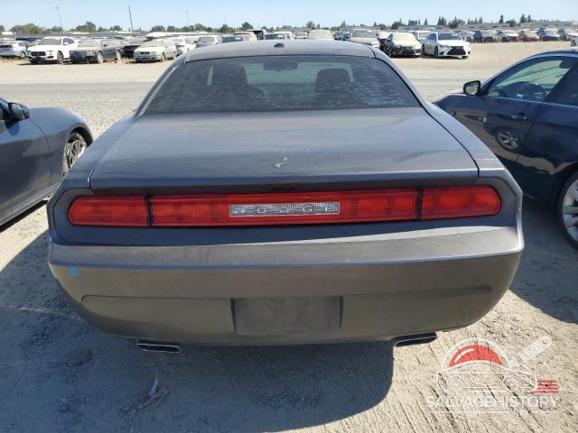 2C3CDYAG5DH593078 2013 DODGE CHALLENGER photo no. 6
