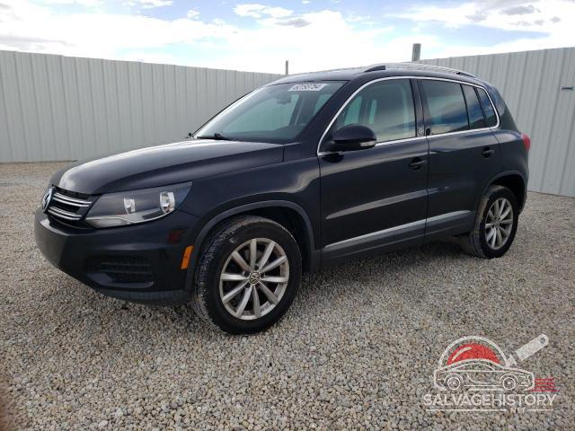 WVGRV7AX3HW500154 2017 VOLKSWAGEN TIGUAN photo no. 10