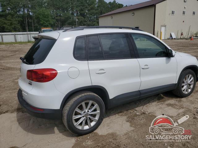 WVGBV7AX3HK050692 2017 VOLKSWAGEN TIGUAN photo no. 3