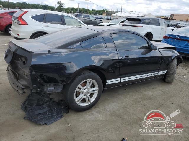 1ZVBP8AM1D5271143 2013 FORD ALL Models photo no. 3