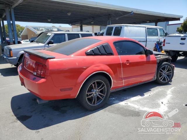 1ZVFT80N055185069 2005 FORD ALL Models photo no. 3